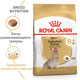 Сухий корм Royal Canin Yorkshire Terrier 8+ для старіючих собак породи Йоркширський тер'єр 0,5 кг (3182550908481) - зображення 2