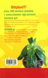 АнСеменова Цілющий чайний оцет А Корзунова Золотий вус ін 5 книг БУ - зображення 4