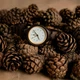 Жіночий годинник SkinWood Dream з індивідуальним гравіюванням - зображення 7