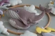 Дитячий мобіль на ліжечко для немовлят WooolyWool «Морські сни» - зображення 7