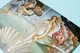 Скетчбук Manuscript Botticelli 1486 A5 Чистые 80 страниц с открытым переплетом (M - Botticelli1486) - изображение 7
