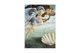 Скетчбук Manuscript Botticelli 1486 A5 Чистые 80 страниц с открытым переплетом (M - Botticelli1486) - изображение 9
