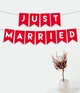 Бумажная гирлянда Happy Moments на свадьбу "Just married" 11 флажков 2 метра (02231) - изображение 1