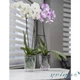 Горщик для орхідеї Orchid 0,7л прозорий - зображення 2