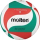 Волейбольный мяч Molten V5M4000 - изображение 1