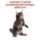 Сухой корм для котят Royal Canin Maine Coon Kitten, 4 кг - изображение 3