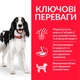 Сухой корм для взрослых собак средних пород Hill’s Science Plan Adult Medium Breed с курицей 2.5 кг - изображение 3