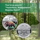 Монета Украина Медведь бурый Чернобыль Возрождение сувенирной упаковки 5 грн - изображение 2