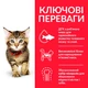 Сухий корм Hill’s Science Plan Kitten для кошенят, вагітних і лактуючих кішок, з куркою, 1,5 кг (BR604048) - зображення 2