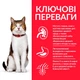 Сухий корм Hill's SP Mature Adult 7+ для зрілих котів від 7 років з куркою 3 кг - изображение 2