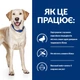 Сухий корм Hill’s Prescription Diet d/d для собак при харчовій алергії з качкою та рисом 12 кг - изображение 7