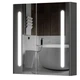 Зеркальный шкаф Aquarius Silver с LED подсветкой 70 Графит - изображение 1