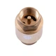 Клапан обратного хода воды PROFESSIONAL 3/4" QP100 - изображение 2