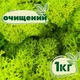 Очищений стабілізований мох ягель Зелений весняний 1 кг - зображення 1
