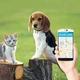 Звуковой поисковый брелок Anti Lost GPS-трекер с приложением на IOS и Android (белый) - изображение 9