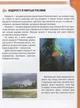 Энциклопедия для пытливых Жители морей и океанов 17х22,5см 96стр (укр) арт.0318 - изображение 3