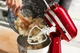 Кухонная машина KitchenAid Artisan 5KSM185PSECA с откидным блоком карамельное яблоко - изображение 17