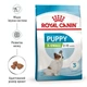 Сухий корм для цуценят Royal Canin X-Small Puppy 0.8кг - изображение 1
