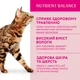 Вологий корм для котів Optimeal Adult 85 г - телятина - изображение 3