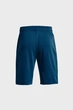 Чоловічі сині шорти UA RIVAL TERRY SHORT Under Armour LG 1361631-458 - зображення 6