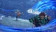 Игра Demon Slayer-Kimetsu no Yaiba-The Hinokami Chronicles для PS5 (EN) [71514] - изображение 3