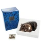 Фигурка в стиле стимпанк Череп 21*11*15 см. 600838 - изображение 4
