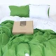 Постільна білизна MirSon Ranforce Elite Green Diego (11-2107+18-0130) 220х240 (2200004703855) - изображение 1
