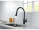 Кухонний змішувач з витяжною лійкою Lambert Ultra Black Mat LR3004B - зображення 3