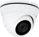 Гибридная антивандальная камера Green Vision GV-146-GHD-H-DOG20-30 (LP16892) - изображение 1