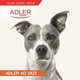 Машинка для стрижки тварин ADLER AD 2823 POLAND акумуляторна для стрижки котів та собак - зображення 8