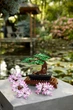 Конструктор LEGO Icons Дерево бонсай 878 деталей (10281) - изображение 7