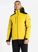 Горнолыжная куртка мужская Dare 2b Remit Jacket DMP527-U8N S Желтая с черным (5059404805938) - изображение 1