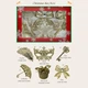 Набір ялинкових іграшок Christmas box-11 MIS LT 30x20x8 cm - зображення 3