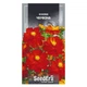 Космея красная Florium (726836) - изображение 2