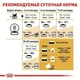 Сухий корм для кошенят Royal Canin British Shorthair Kitten, 2кг+ 400г - зображення 2