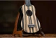 Комплект Укулеле Сопрано Ortega Keiki Ukulele Pack K3-WEB - изображение 5