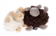 М'яка іграшка sigikid Beasts Вівці 42370SK - зображення 2