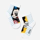 Дитячі шкарпетки бавовняні для хлопчиків Conte Kids Disney 17С-126/1СПМ-345 14 р Білі (4810226331194) - зображення 2