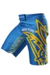 Шорти MMA Berserk Sport Hetman Синій XL - изображение 3