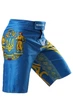 Шорти MMA Berserk Sport Hetman Синій XL - изображение 5