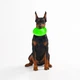 Іграшка для собак Collar Літаюча тарілка Flyber 22 см Салатова (62175) - зображення 14