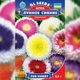 Семена Астра Лунное сияние (726640) - изображение 3