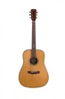 Акустическая гитара Prima DSAG219 Acoustic Guitar - изображение 1