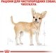 Сухой корм для взрослых собак Royal Canin Chihuahua Adult 3 кг - изображение 5