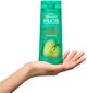Шампунь Garnier Fructis Ріст на повну Силу для ослабленого волосся, схильного до випадання 250 мл (3600541775848) - изображение 2