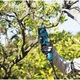 Секатор Makita DUP361Z solo, акумуляторний (Без АКБ та БП) (DUP361Z) - зображення 5