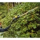 Кусторез DeWALT DCMPH566P1 - изображение 5