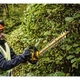 Кусторез DeWALT DCMPH566P1 - изображение 11
