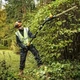 Кусторез DeWALT DCMPH566P1 - изображение 2