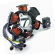 Статор генератора Delta WS 110cc 5+1 JWBP тип 1 - изображение 1